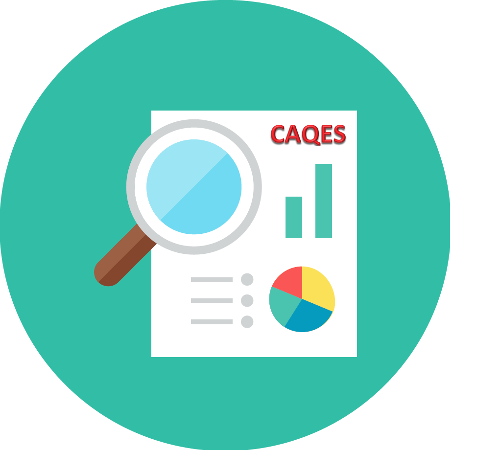 Le CAQES : évolution et situation actuelle